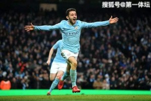  曼城多点开花展统治力，客场大胜埃弗顿稳居榜首