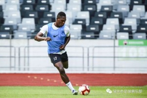  奥格斯堡主场顽强抵抗，逼平领头羊展现韧性